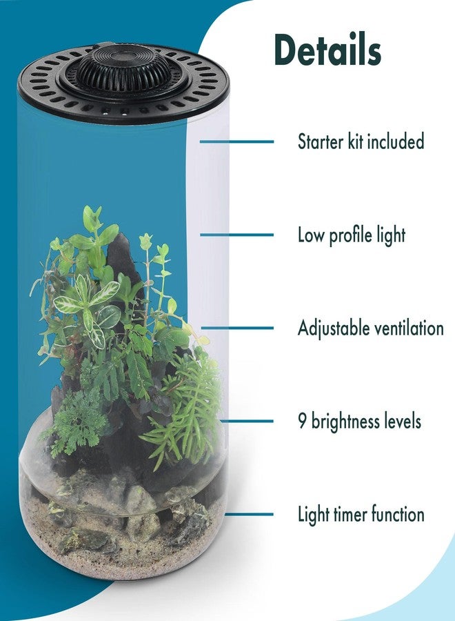 SubstrateSource Bio Cylinder - Glass Plant Terrarium Kit - Glass Terrarium w/LED Grow Light, Adjustable Ventilation Lid, Substrate, Moss & Accent Rocks - Bio Cylinder 150 - Image 4
